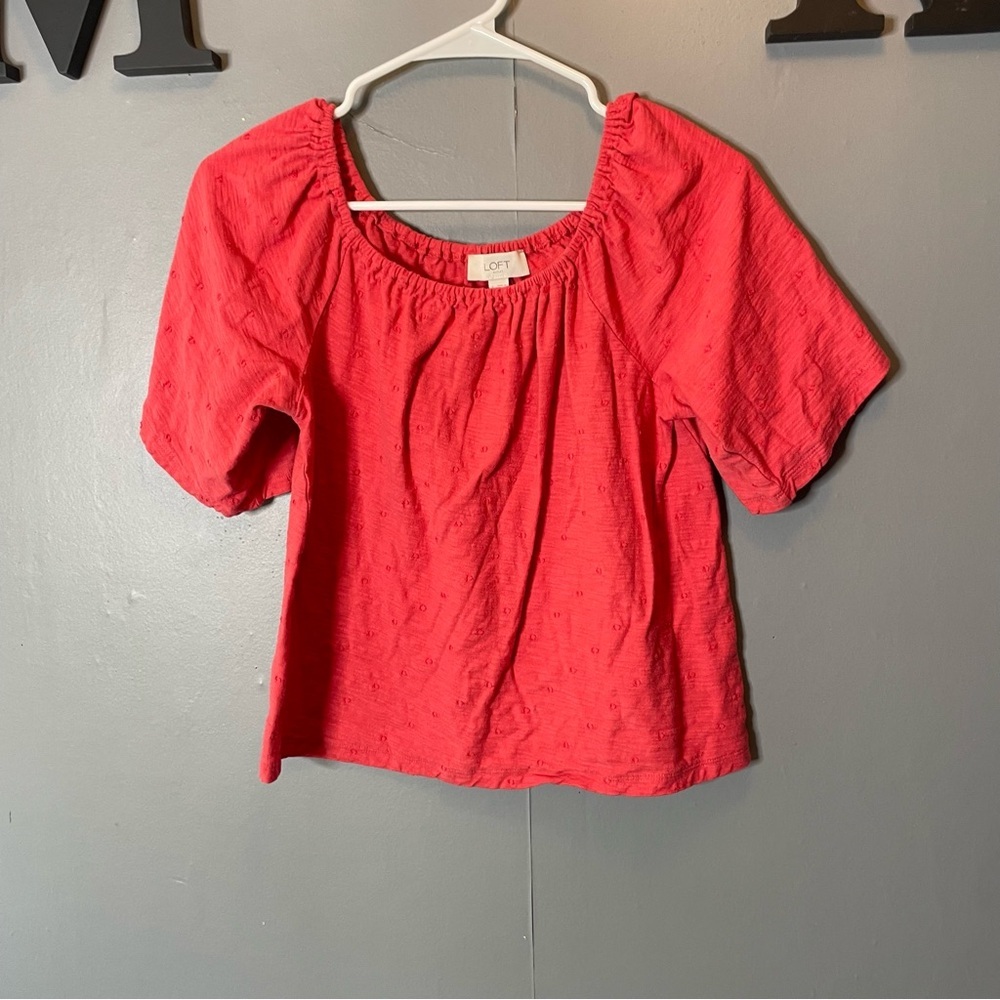 LOFT Women's hot pink embroidered puff sleeve Top size small